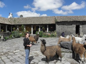 Hacienda San Agustin de Callo