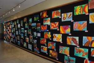 Middle School Art Display