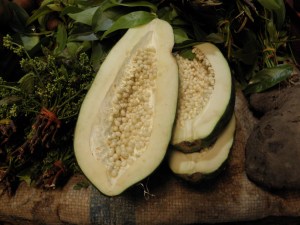 green papaya